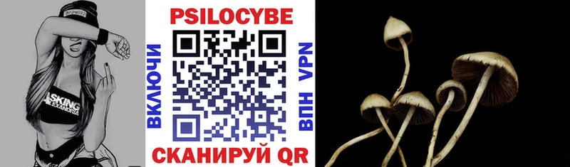 Псилоцибиновые грибы прущие грибы  Купить где  Галич 